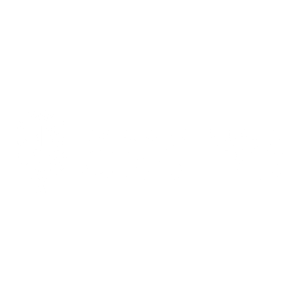 LOGO MUNICIPALIDAD DE CASTRO_BLANCO