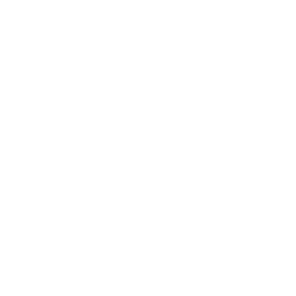 Logo Islas de Nasca Fundación_BLANCO