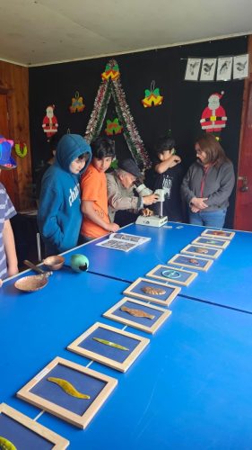 d8096342-aa05-4df1-aec1-4afa639d9d0d